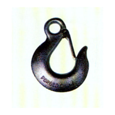 Eye Slip Hook with Latch